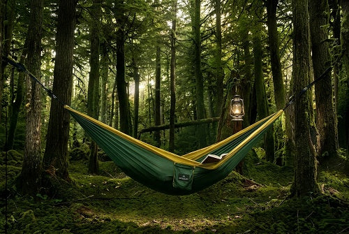Forest Retreats